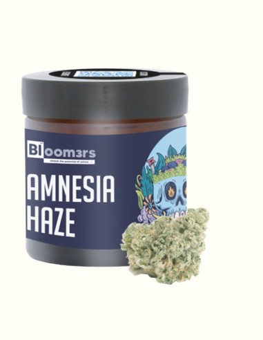 AMNESIA HAZE - Bloom3rs 420 - nouvelle édition
