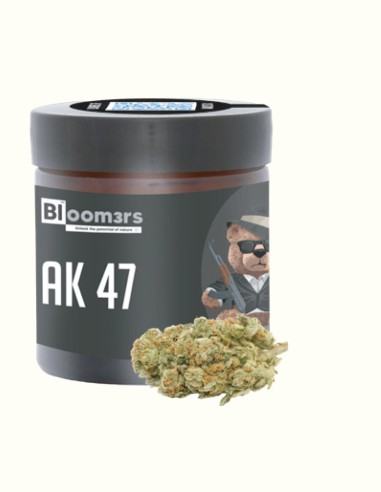 AK47 - Bloom3rs 420 - nouvelle édition