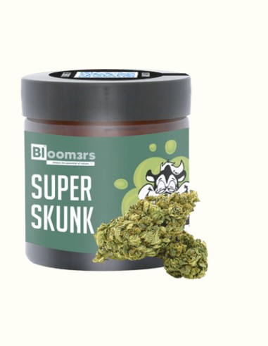 SUPER SKUNK - Bloom3rs 420 - nouvelle édition