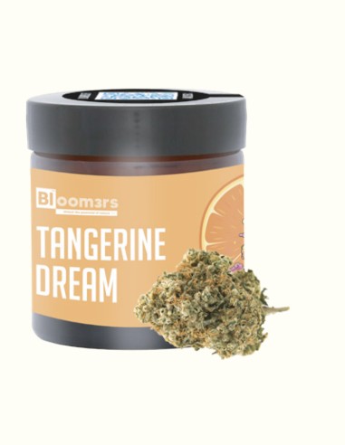 TANGERINE DREAM - Bloom3rs 420 - nouvelle édition