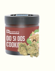 DO SI DOS COOKIE - Bloom3rs 420 - nouvelle édition