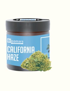 CALIFORNIA HAZE - Bloom3rs 420 - nouvelle édition