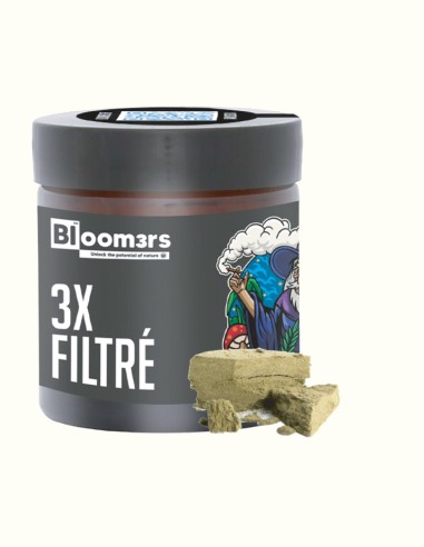 3 X FILTRÉ - Bloom3rs 420 - nouvelle édition