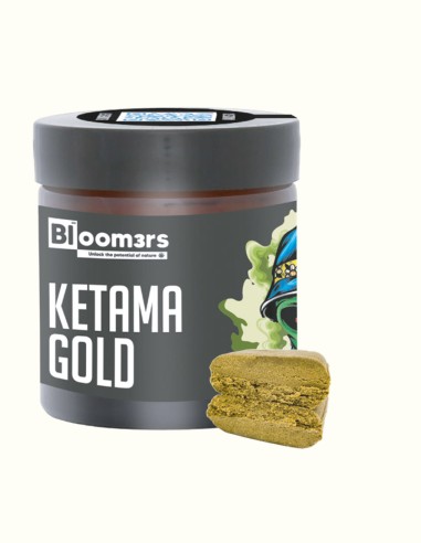 KETAMA GOLD - Bloom3rs 420 - nouvelle édition