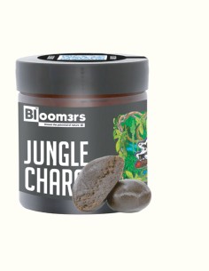 JUNGLE CHARAS - Bloom3rs 420 - nouvelle édition
