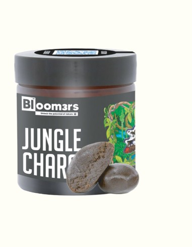 JUNGLE CHARAS - Bloom3rs 420 - nouvelle édition