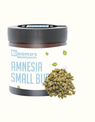 AMNESIA SMALL BUD - Bloom3rs 420 - nouvelle édition