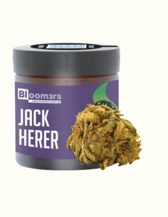 JACK HERER - Bloom3rs 420 - nouvelle édition