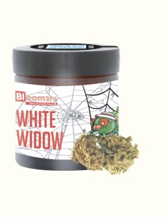 WHITE WIDOW
